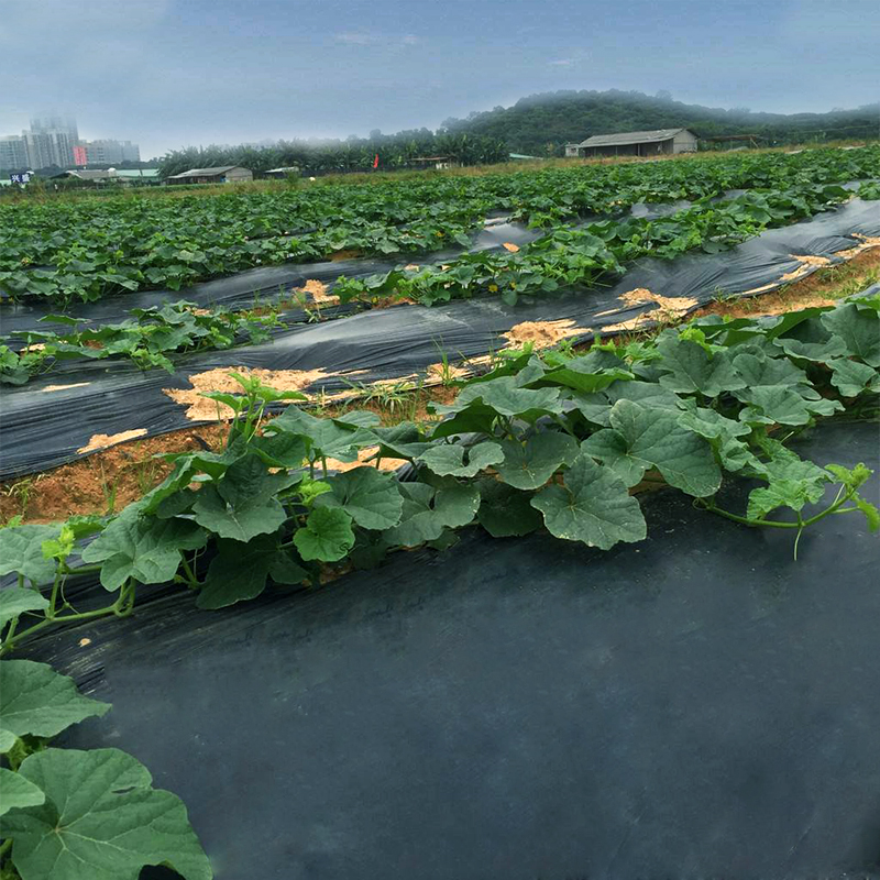 宁夏土工布,宁夏土工膜,复合土工膜厂家 宁夏土工布,宁夏土工膜,复合土工膜厂家