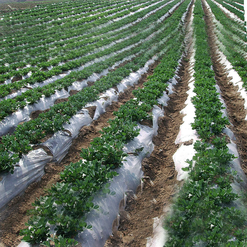 宁夏土工布,宁夏土工膜,复合土工膜厂家 宁夏土工布,宁夏土工膜,复合土工膜厂家