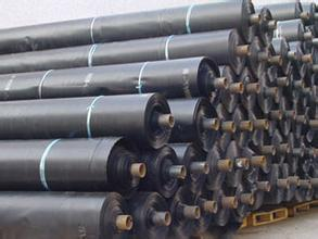 宁夏农用棚膜,宁夏土工膜,宁夏聚酯油毡基布 宁夏农用棚膜,宁夏土工膜,宁夏聚酯油毡基布