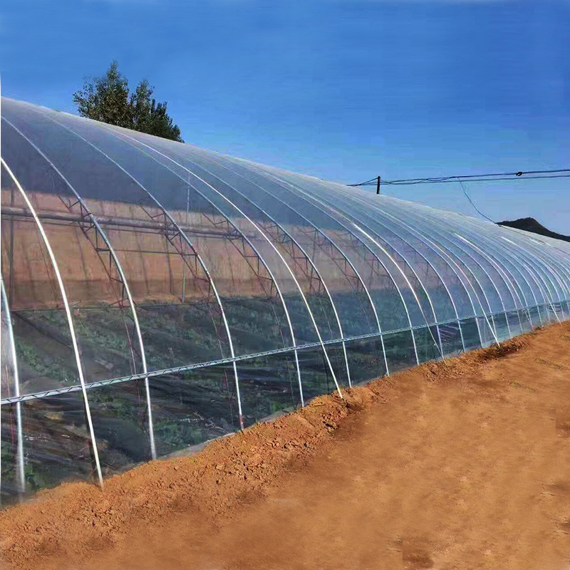 银川提供大棚薄膜价格