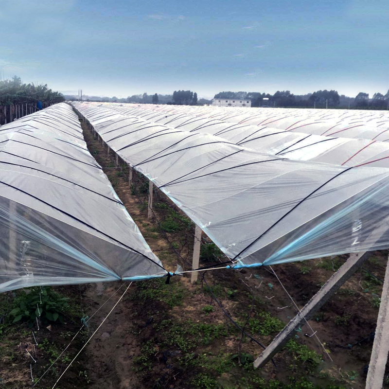 兰州生产复合土工膜哪家好