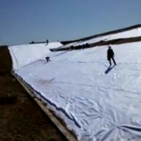 西宁生产农用棚膜价格