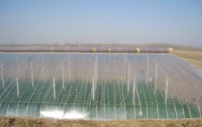 宁夏土工布 宁夏土工布